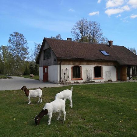 Hotel Atputas Vieta Raudini Kaltene Exterior foto