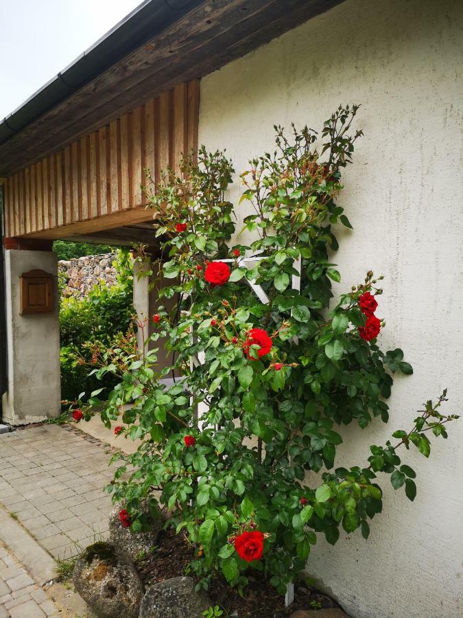 Hotel Atputas Vieta Raudini Kaltene Exterior foto